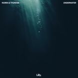 Artwork für "Underwater"