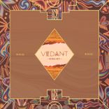 Artwork voor "Hoka Hey"