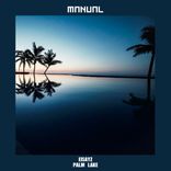 Artwork for "Palm Lake"