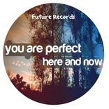 Artwork for "You Are Perfect Here & Now"