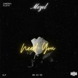 Artwork for "Need You"