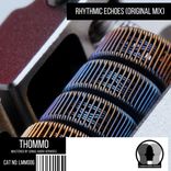 Portada para "Rhythmic Echoes"