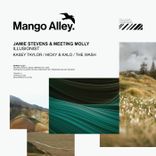 Artwork voor "Illusionist"