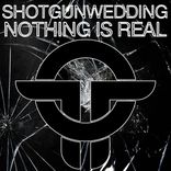 Portada para "Nothing Is Real"