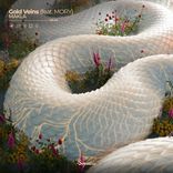 Artwork for "Gold Veins"