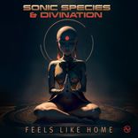 Artwork for "Feels Like Home"