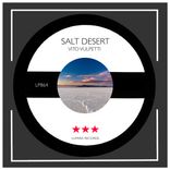 Artwork für "Salt Desert"