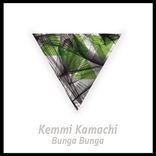 Artwork for "Bunga Bunga"