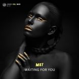 Artwork for "Waiting For You"