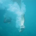 Artwork for "Connotes Beauty"