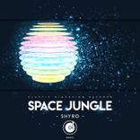 Artwork for "Space Jungle"