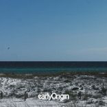 Artwork voor "Omode"