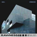 Artwork for "Hipnotized"