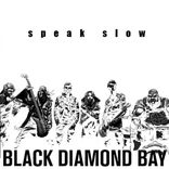 Artwork for "Speak Slow"