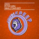Artwork for "Smalltown Boy"