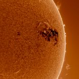 Portada para "Dark Forest EP"