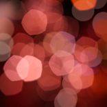 Artwork for "Flowers for Lady Miss Kier"