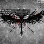 Portada para "Dunkle Zeichen"