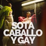 Artwork for "Sota Caballo Y Gay"