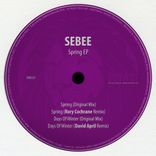 Artwork for "Spring"