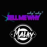 Artwork für "Tell My Why"