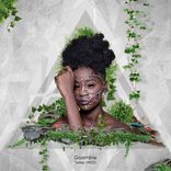 Artwork for "Goomble"