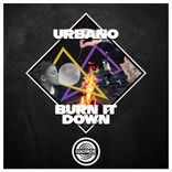 Artwork for "Burn It Down"