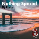 Artwork voor "Nothing Special"