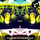 Artwork voor "Shamanic Journey 8"