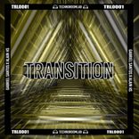 Artwork voor "Transition"