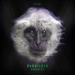 Portada para "Socks EP"