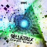 Artwork voor "Dream State"