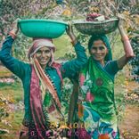 Artwork for "Lalalolo"