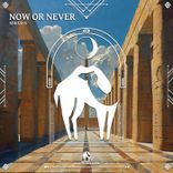 Artwork for "Now or Never"