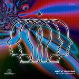 Portada para "Optic Chiasm"