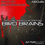 Artwork for "Bird Brains"
