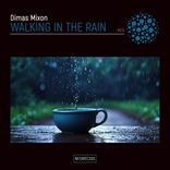 Artwork for "Walking In The Rain"