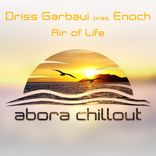 Artwork for "Air of Life"