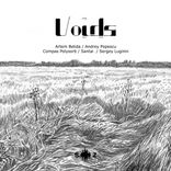 Artwork für "Voids"