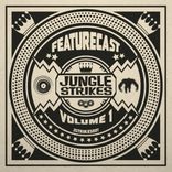 Artwork für "Jungle Strikes, Vol. 1"