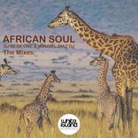Artwork for "African Soul (The Mixes)"