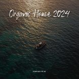 Artwork for "Organic House #03"