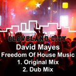 Freedom of House Music