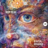 Artwork for "Digital Organics"