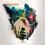 Artwork voor "Storm Flower"