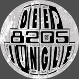 Artwork for "Message from Jah / Check This Out"