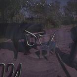 Artwork für "Shadow Dance"