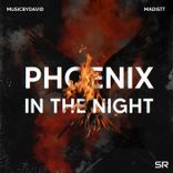 Artwork voor "Phoenix in the Night"