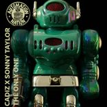 Artwork voor "The Only One"