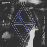 Artwork for "Pulso EP"